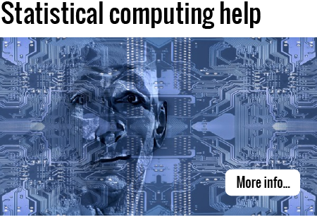 Click to find out more about consulting for statistical computing