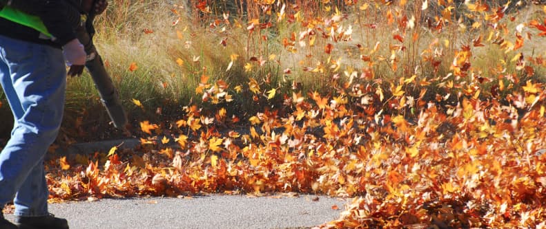 leaf blower