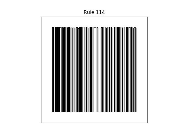 rule 114 with random initial conditions