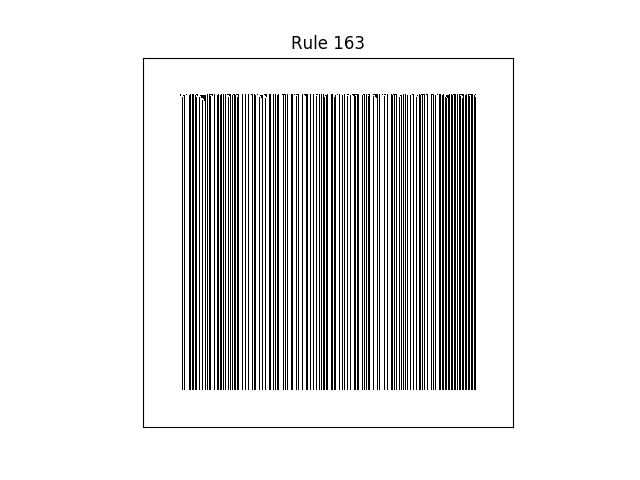 rule 163 with random initial conditions