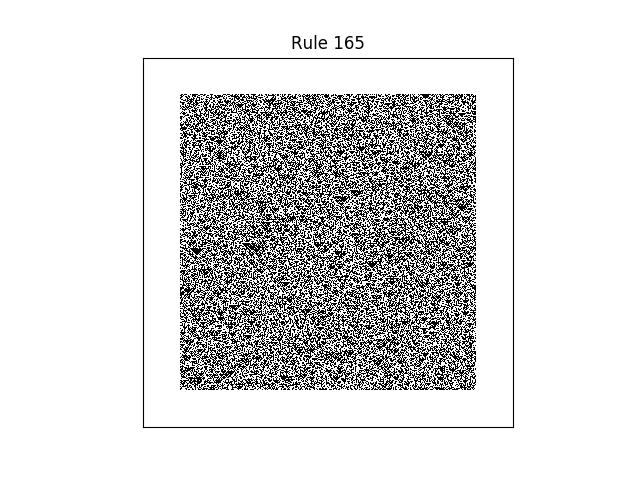 rule 165 with random initial conditions