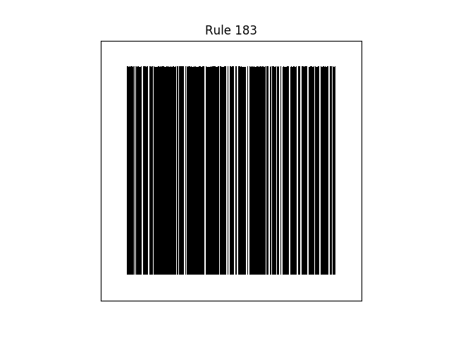 rule 183 with random initial conditions