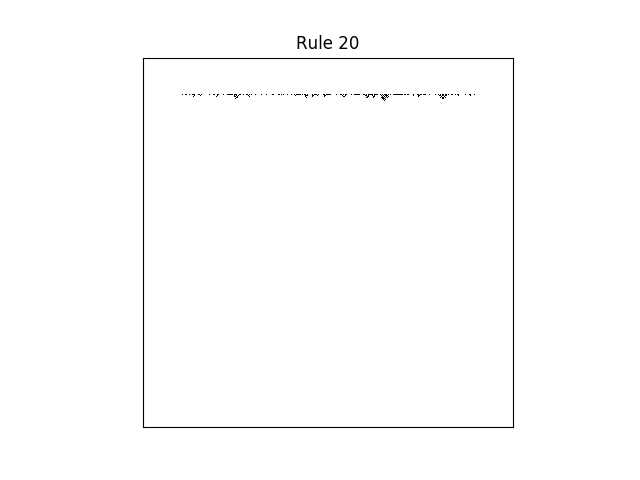rule 20 with random initial conditions
