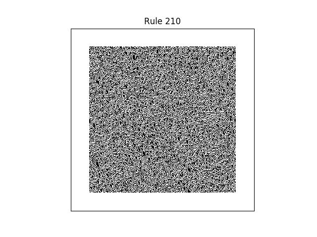 rule 210 with random initial conditions