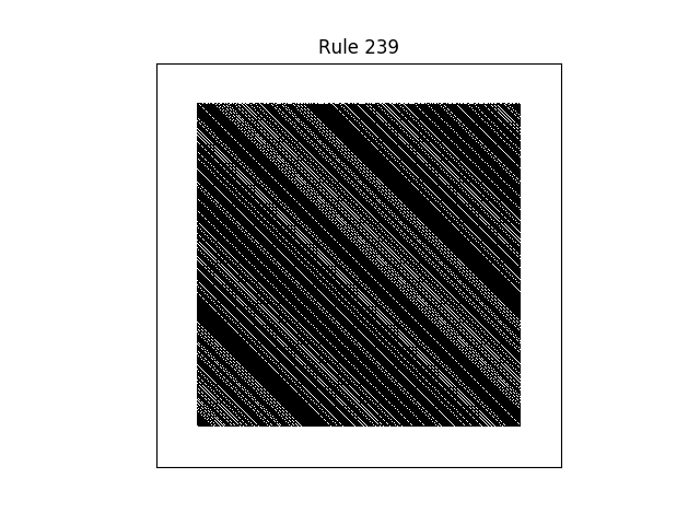 rule 239 with random initial conditions