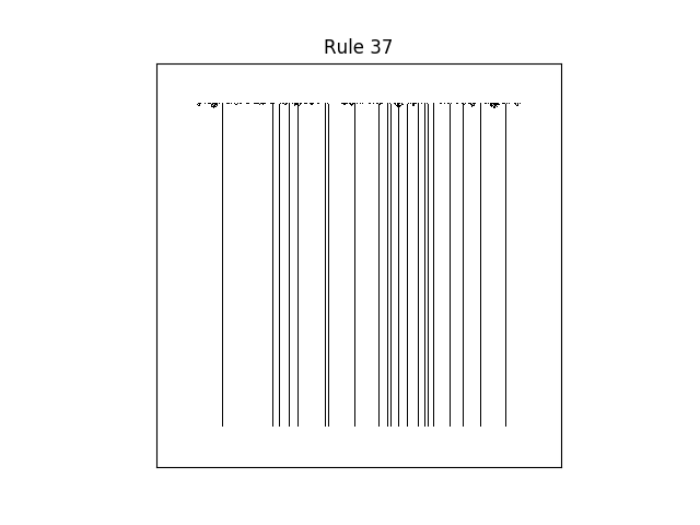 rule 37 with random initial conditions