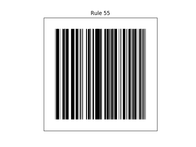 rule 55 with random initial conditions