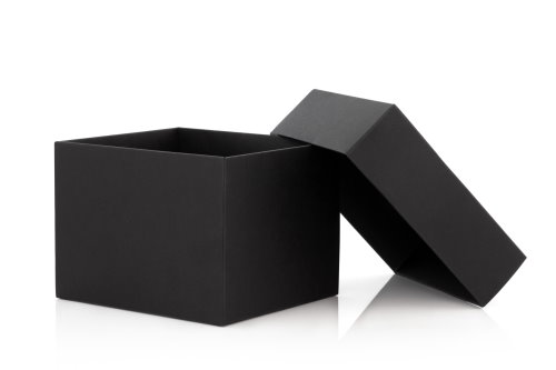 black box