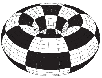 checkerboard torus