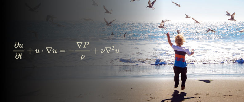 Navier-Stokes equations on the beach