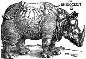 Durer's rhino