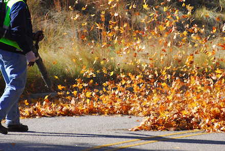 leaf blower