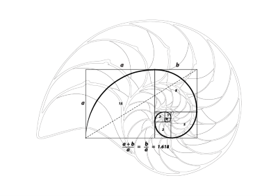 Nautilus, golden ratio