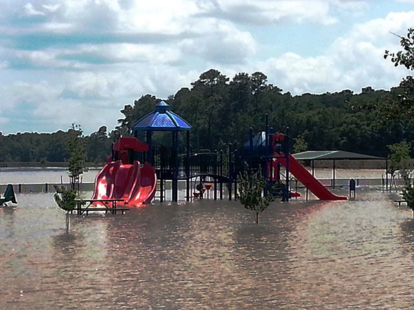 flooded park