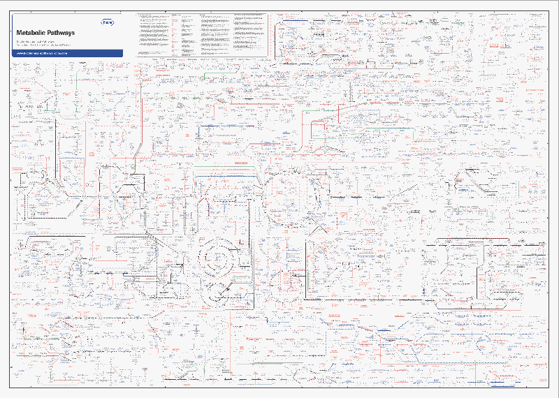 biochemical pathways thumbnail